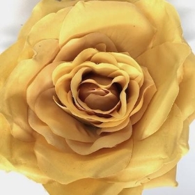 Toffee Open Rose 62cm