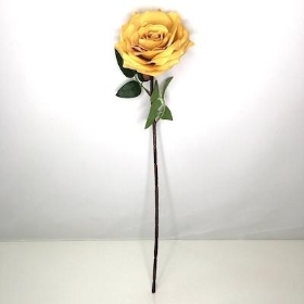 Toffee Open Rose 62cm