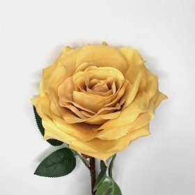 Toffee Open Rose 62cm