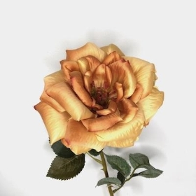 Honey Garden Rose 61cm