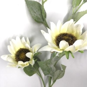Ivory Sunflower Spray 60cm