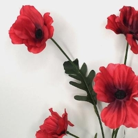 Red Poppy 47cm