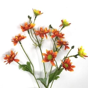 Orange Wild Daisy 54cm