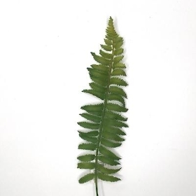 Green Fern Leaf 60cm
