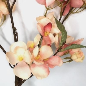 Blush Pink Blossom 64cm