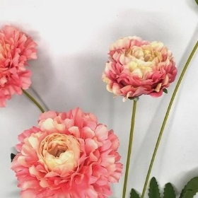 Salmon Zinnia Spray 59cm