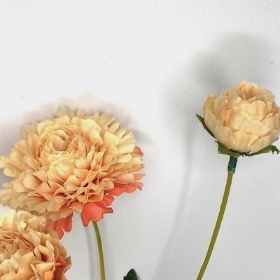 Peach Zinnia Spray 59cm