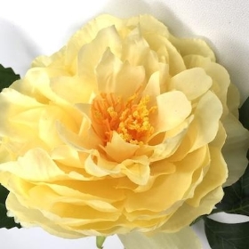 Cream Open Peony 49cm