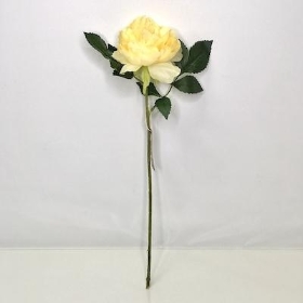 Cream Open Peony 49cm