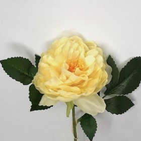 Cream Open Peony 49cm