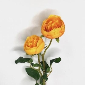 Golden Orange Ranunculus 46cm