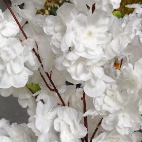 White Blossom Tree 120cm