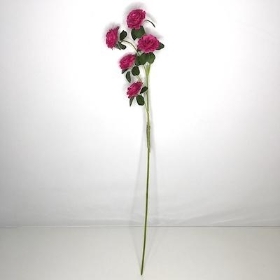 Fuchsia Ranunculus Spray 71cm