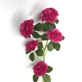 Fuchsia Ranunculus Spray 71cm