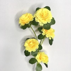 Yellow Ranunculus Spray 71cm