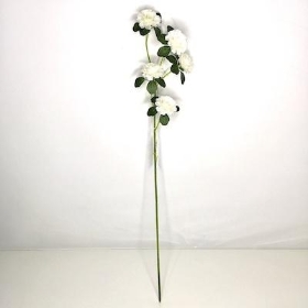 White Ranunculus Spray 71cm