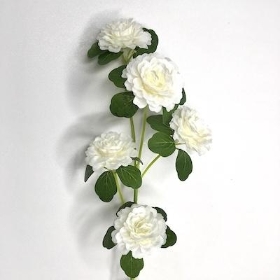 White Ranunculus Spray 71cm