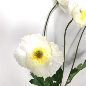 Ivory Poppy Spray 57cm