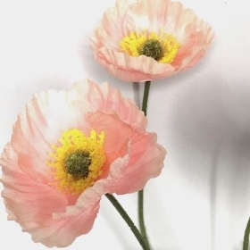 Light Pink Poppy Spray 57cm