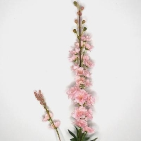 Pale Pink Delphinium 78cm