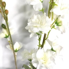 White Delphinium 78cm