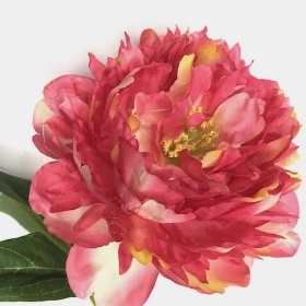 Pink Frilly Peony 66cm