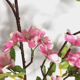 Pink Cherry Blossom 98cm