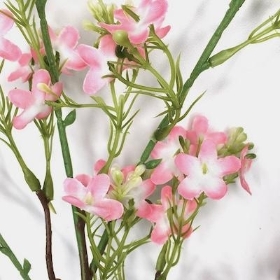 Pink Waxflower Spray 86cm