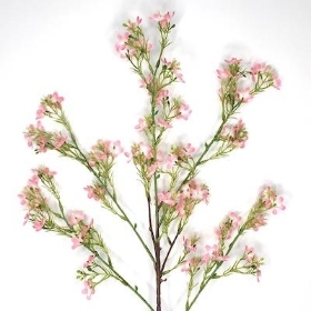 Pink Waxflower Spray 86cm