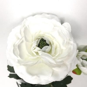 White Ranunculus 48cm