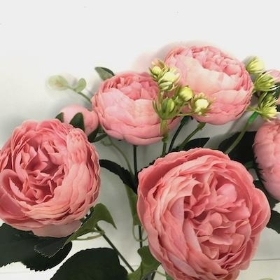 Vintage Pink Peony Bush 29cm