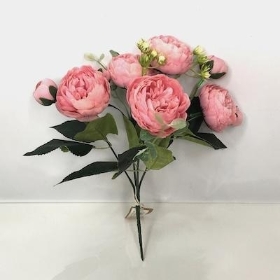 Vintage Pink Peony Bush 29cm