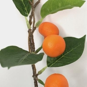 Mini Orange Stem 32cm
