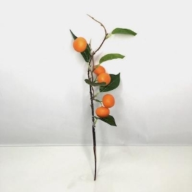 Mini Orange Stem 32cm