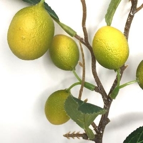 Mini Lemon Stem 32cm