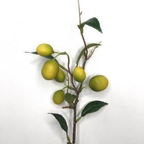 Mini Lemon Stem 32cm