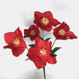 Red Hellebore Bush 30cm