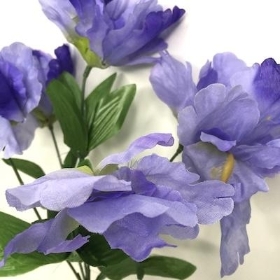 Lilac Iris Bush 32cm