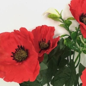 Red Poppy And Foliage Bush 32cm