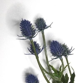 Blue Thistle Spray 81cm