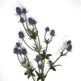 Blue Thistle Spray 81cm