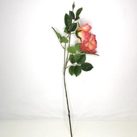 Coral Garden Rose 73cm