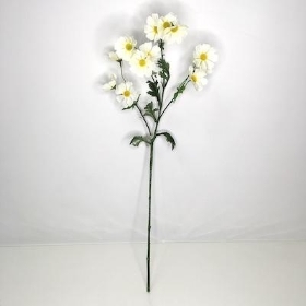 Ivory Wild Cosmos 75cm