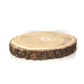 Wood Slice 40cm to 42cm