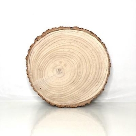 Wood Slice 35cm to 37cm