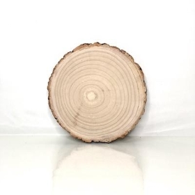 Wood Slice 29cm to 31cm