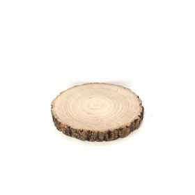 Wood Slice 26cm to 28cm