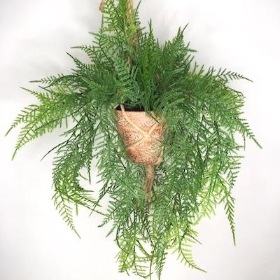 Green Hanging Fern In Pot 60cm