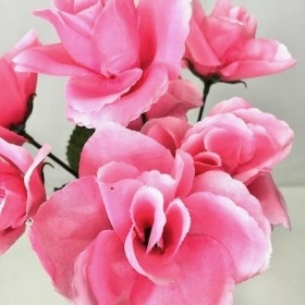 Pink Carnival Rose Bush 32cm