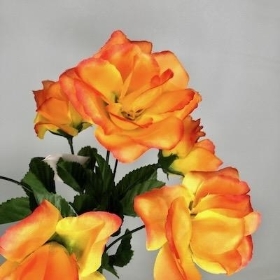 Orange Carnival Rose Bush 32cm